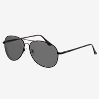 Pilotastic Black Sunglasses